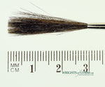 MACK Squirrel/Ox Outliner
