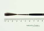 MACK Squirrel/Ox Outliner