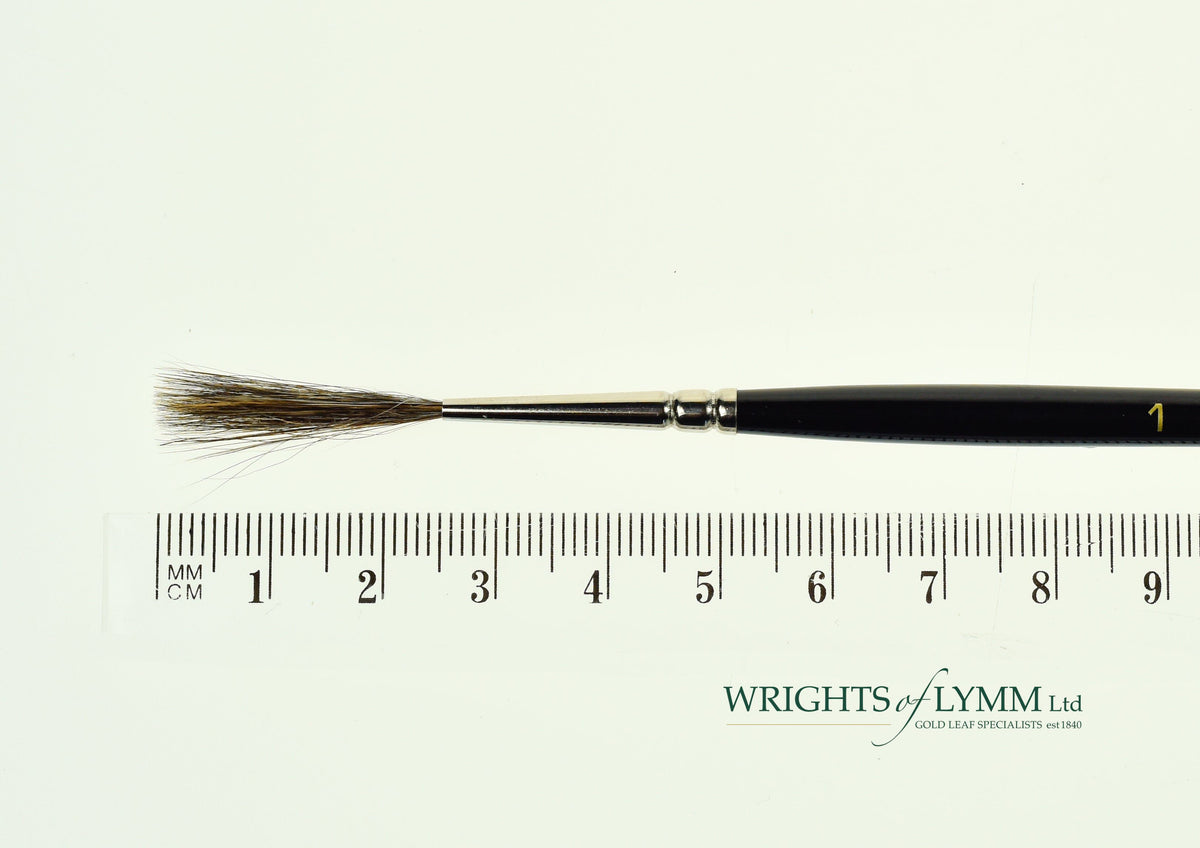 MACK Squirrel/Ox Outliner