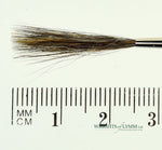 MACK Squirrel/Ox Outliner