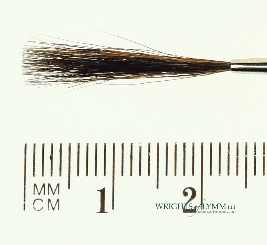 MACK Squirrel/Ox Outliner