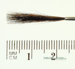 MACK Squirrel/Ox Outliner