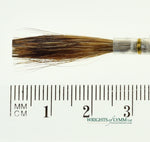 Series 189 Lettering Quill No.4