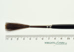 MACK Squirrel/Ox Outliner