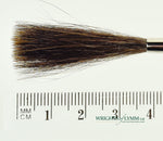 MACK Squirrel/Ox Outliner