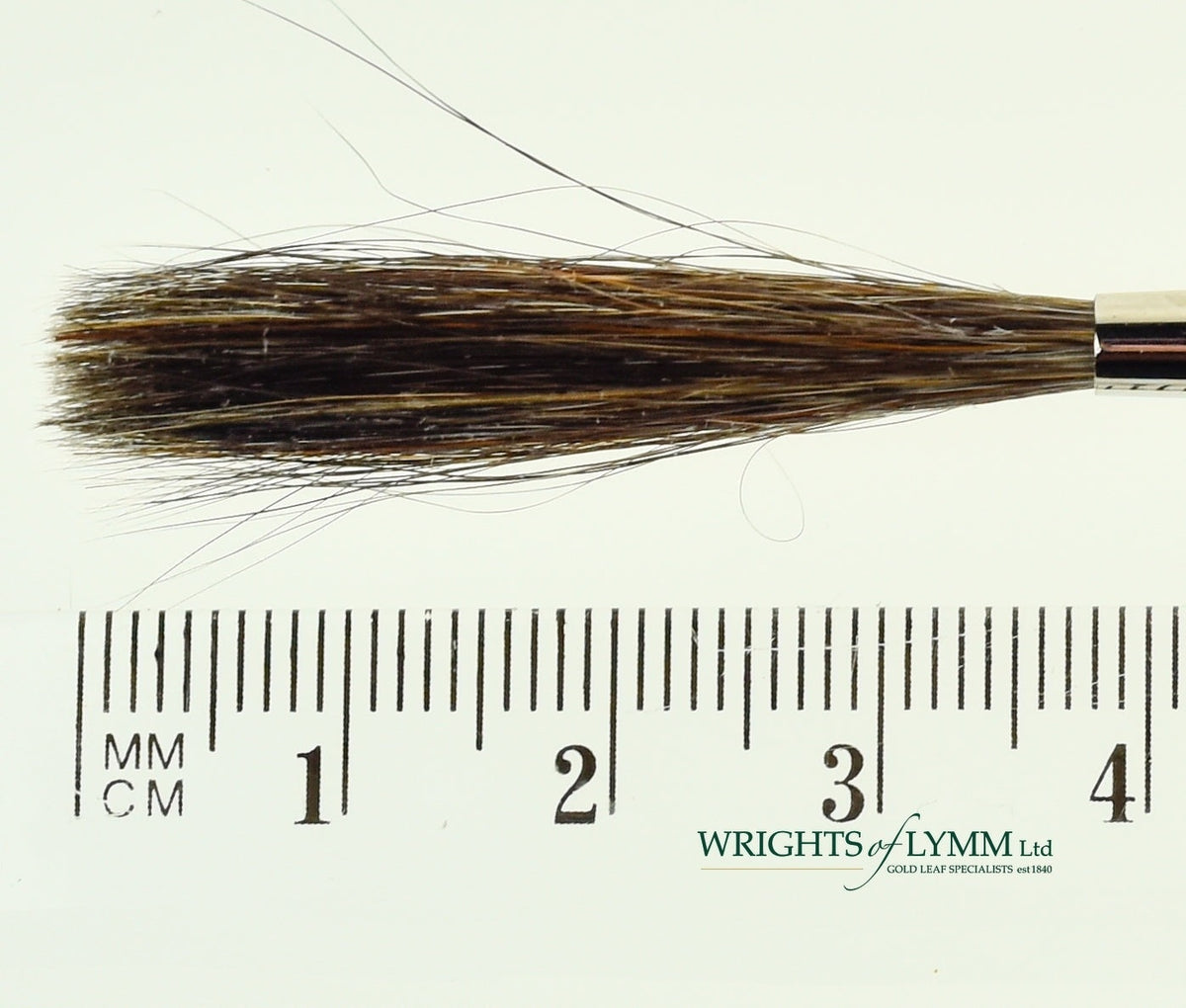 MACK Squirrel/Ox Outliner