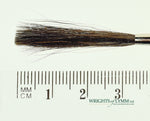 MACK Squirrel/Ox Outliner
