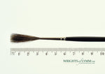MACK Squirrel/Ox Outliner