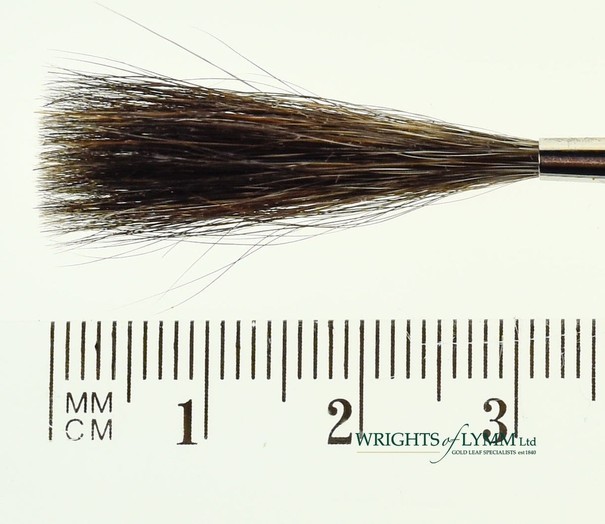 MACK Squirrel/Ox Outliner