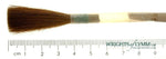 The No.9 Sable Chisel Writer in Quill - Small Swan