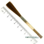 No.8 Sable Chisel Writer in Quill - Extra Small Swan