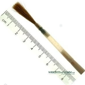 Series 1210 Sable Chisel Writer in Quill Brushes