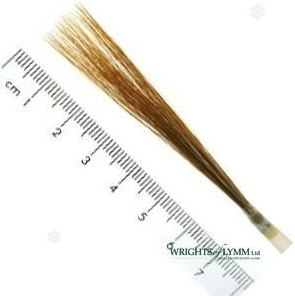 Ox Hair Liner in Quill Brushes