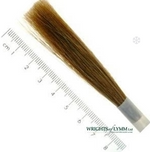 Ox Hair Liner in Quill Brushes