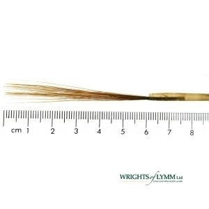 Ox Hair Liner in Quill - Lark
