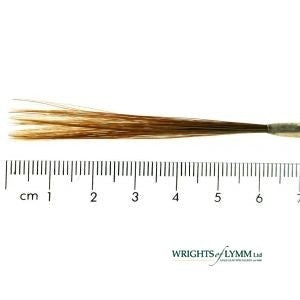 Ox Hair Liner in Quill - Small Duck