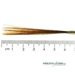 Ox Hair Liner in Quill - Small Duck