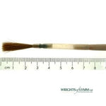 The No.4 Sable Chisel Writer in Quill - Large Duck