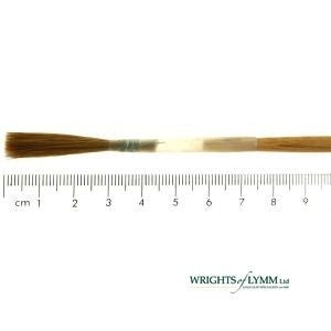 The No. 5 Sable Chisel Writer in Quill - Small Goose