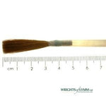 The No.6 Sable Chisel Writer in Quill - Goose