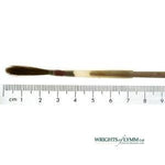 No.4 Sable Pointed Writer in Quill - Large Duck