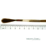 No.5 Sable Pointed Writer in Quill - Small Goose