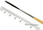 MACK Squirrel/Ox Outliner