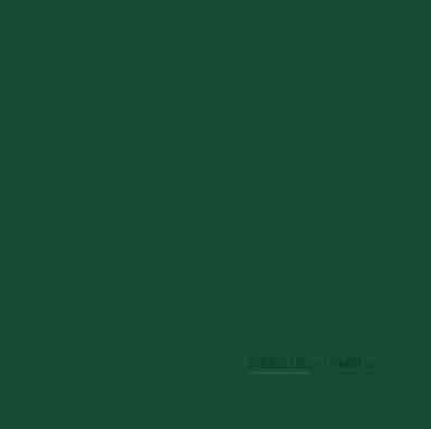20ml Brunswick Green Acrylic Enamel Paint– Wrights of Lymm