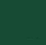 20ml Brunswick Green Acrylic Enamel Paint