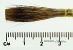Series 189L Mack Lettering Quill No.7