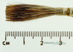 Series 189L Mack Lettering Quill No.6