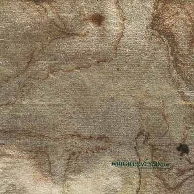 Coloured Silver Loose Marbled Leaf