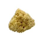 Natural Sea Sponge