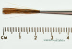 Hannukaine Quill