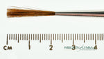 Hannukaine Quill