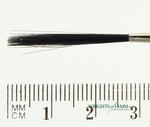 MACK Squirrel/Ox Outliner