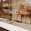 Cactuss Sign Painting Window Displays