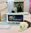 Dulux Academy Special Decorating week