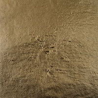 Shade 2.5 - Italian Imitation Gold Leaf Transfer