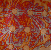 Nazionale Variegated Leaf