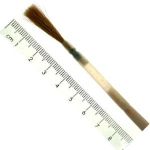 No.4 Sable Chisel Writer in Quill - Large Duck