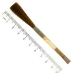 No.8 Sable Chisel Writer in Quill - Extra Small Swan