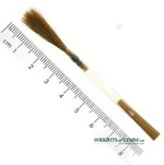 Series 1210 Sable Chisel Writer in Quill Brushes