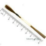 Series 1210 Sable Chisel Writer in Quill Brushes