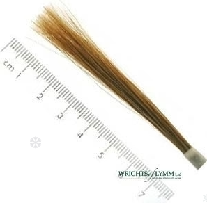 Ox Hair Liner in Quill Brushes