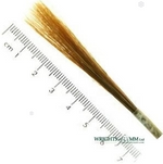 Ox Hair Liner in Quill Brushes