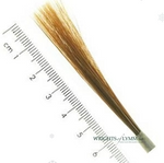 Ox Hair Liner in Quill Brushes