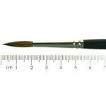 No.6 Sable Artist Pencil