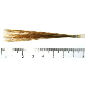 Ox Hair Liner in Quill - Duck