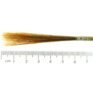 Ox Hair Liner in Quill - Large Duck